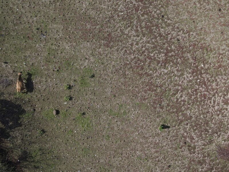 Las granjas como ésta de Pasaquina, El Salvador, han tenido que soportar años de sequía. Con la llegada del sistema El Niño, los efectos pueden agravarse. Las granjas como ésta de Pasaquina, El Salvador, han tenido que soportar años de sequía. Con la llegada del sistema El Niño, los efectos pueden agravarse.