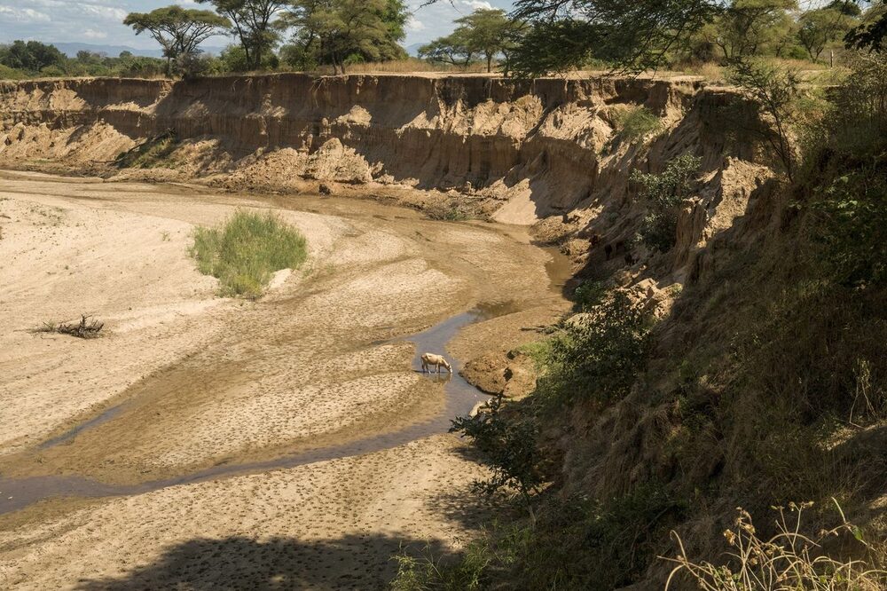 Charcas de Mushumbi, Mbire, Zimbabue, 14 de mayo. Esta zona tuvo que lidiar con el impacto del calentamiento global, desde las sequías hasta las inundaciones y los ciclones, a pesar de que Zimbabue emite mucho menos carbono que muchos otros países. Cynthia R. Matonhodze/Bloomberg Charcas de Mushumbi, Mbire, Zimbabue, 14 de mayo. Esta zona tuvo que lidiar con el impacto del calentamiento global, desde las sequías hasta las inundaciones y los ciclones, a pesar de que Zimbabue emite mucho menos carbono que muchos otros países. Cynthia R. Matonhodze/Bloomberg