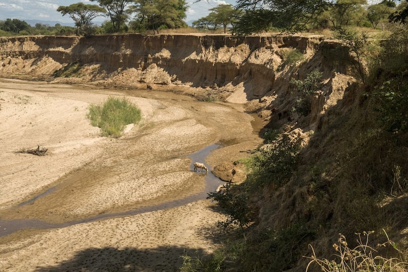 Charcas de Mushumbi, Mbire, Zimbabue, 14 de mayo. Esta zona tuvo que lidiar con el impacto del calentamiento global, desde las sequías hasta las inundaciones y los ciclones, a pesar de que Zimbabue emite mucho menos carbono que muchos otros países. Cynthia R. Matonhodze/Bloomberg Charcas de Mushumbi, Mbire, Zimbabue, 14 de mayo. Esta zona tuvo que lidiar con el impacto del calentamiento global, desde las sequías hasta las inundaciones y los ciclones, a pesar de que Zimbabue emite mucho menos carbono que muchos otros países. Cynthia R. Matonhodze/Bloomberg