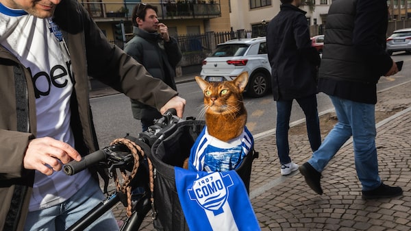 Da falência à elite: o modelo de negócios que levou este clube italiano à Série A Da falência à elite: o modelo de negócios que levou este clube italiano à Série A