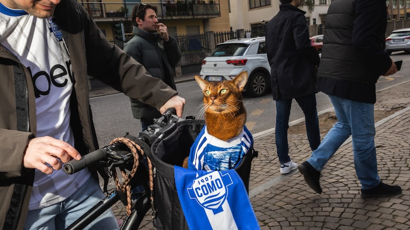 Da falência à elite: o modelo de negócios que levou este clube italiano à Série A Da falência à elite: o modelo de negócios que levou este clube italiano à Série A