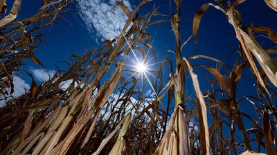 Fin de las herencias de agua: agricultores paralizan carreteras en rechazo a cambios a ley en México Fin de las herencias de agua: agricultores paralizan carreteras en rechazo a cambios a ley en México