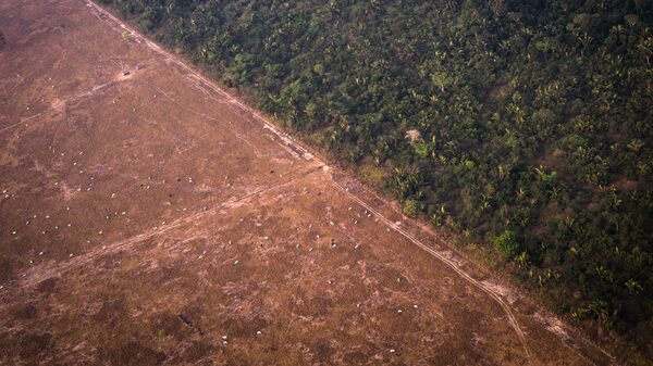Reducir las emisiones sigue siendo la tarea clave para combatir el cambio climático Reducir las emisiones sigue siendo la tarea clave para combatir el cambio climático