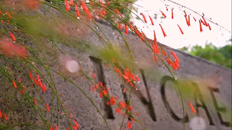 El Instituto Centroamericano de Administración de Empresas (INCAE) tiene sedes en Nicaragua y Costa Rica. El Instituto Centroamericano de Administración de Empresas (INCAE) tiene sedes en Nicaragua y Costa Rica.