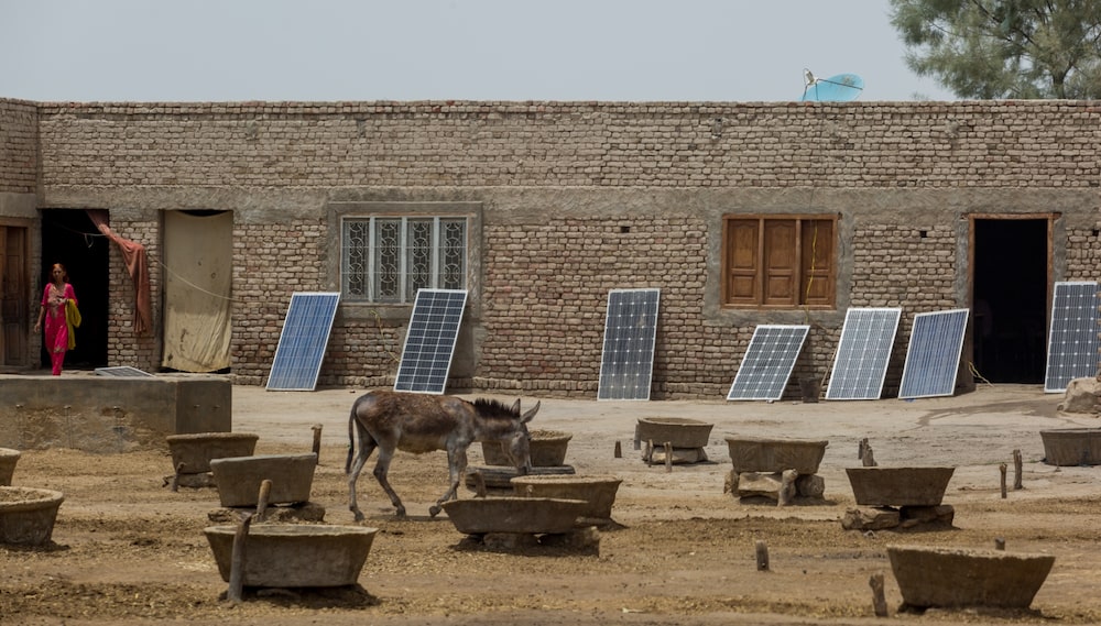 Foto: Bloomberg/Bloomberg Foto: Bloomberg/Bloomberg