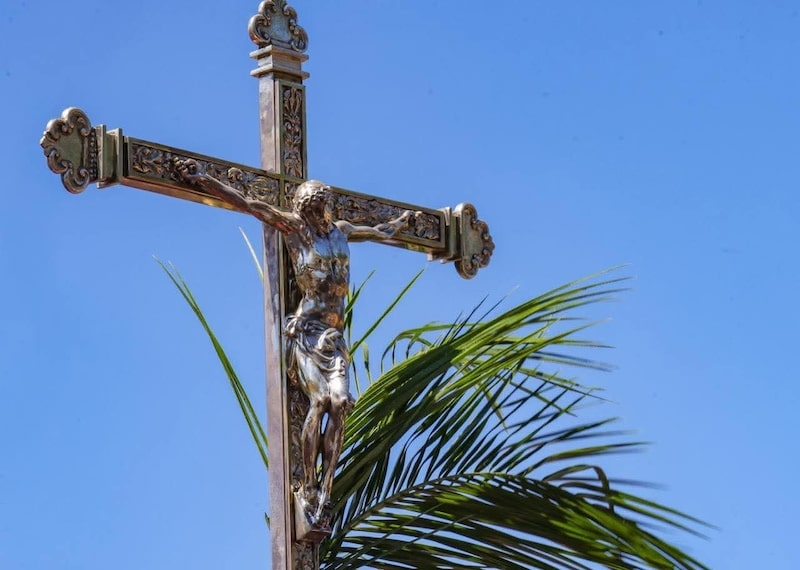 Domingo de Ramos en la Catedral de Managua, el 29 de marzo de 2026. Domingo de Ramos en la Catedral de Managua, el 29 de marzo de 2026.