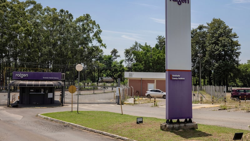 Raízen corre para aprovar plano de reestruturação sem apoio de bondholders, dizem fontes Raízen corre para aprovar plano de reestruturação sem apoio de bondholders, dizem fontes