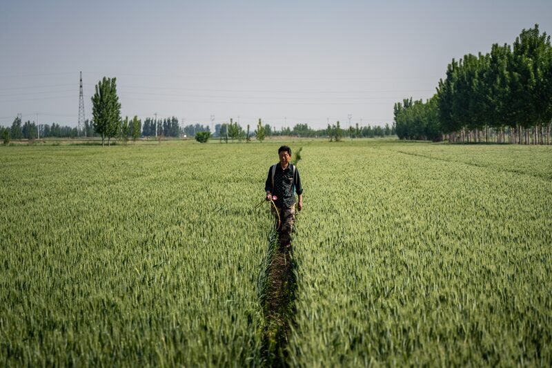 El fenómeno La Niña se acerca y el mundo está a la espera de lo que puede suceder. El fenómeno La Niña se acerca y el mundo está a la espera de lo que puede suceder.