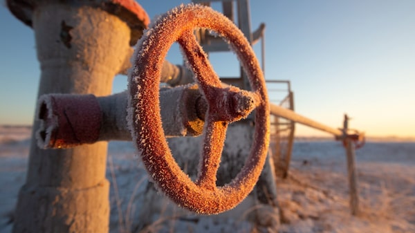 OPEP+ acuerda nuevo aumento gradual de producción para marzo OPEP+ acuerda nuevo aumento gradual de producción para marzo