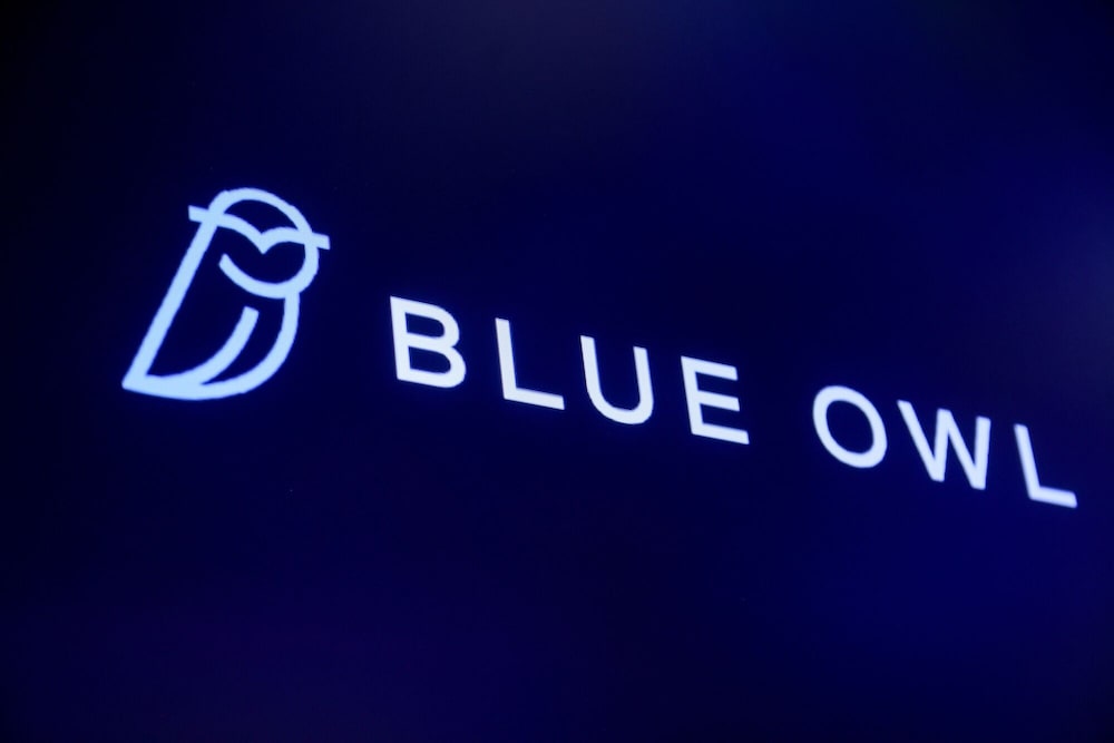 Blue Owl Blue Owl