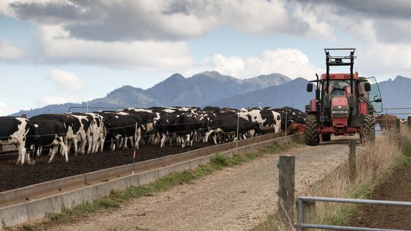 Fabricantes advierten que los aranceles elevarán precios de maquinaria para agricultores Fabricantes advierten que los aranceles elevarán precios de maquinaria para agricultores