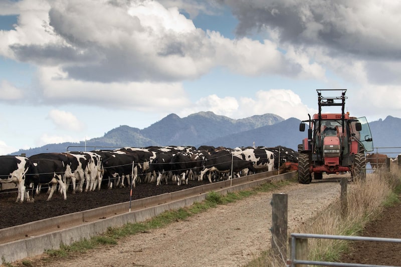Um agricultor opera um trator enquanto distribui ração para vacas leiteiras em uma fazenda fornecedora da Fonterra Cooperative Group em Hamilton, Nova Zelândia, na quinta-feira, 19 de março de 2015. (Foto: Brendon O'Hagan/Bloomberg) Um agricultor opera um trator enquanto distribui ração para vacas leiteiras em uma fazenda fornecedora da Fonterra Cooperative Group em Hamilton, Nova Zelândia, na quinta-feira, 19 de março de 2015. (Foto: Brendon O'Hagan/Bloomberg)