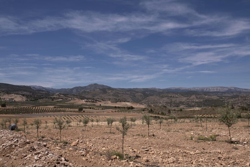 Escassez de chuvas em diferentes áreas da Europa, mesmo as que são de clima mais árido, afeta a produção de alimentos (Foto: Maria Contreras Coll/Bloomberg) Escassez de chuvas em diferentes áreas da Europa, mesmo as que são de clima mais árido, afeta a produção de alimentos (Foto: Maria Contreras Coll/Bloomberg)
