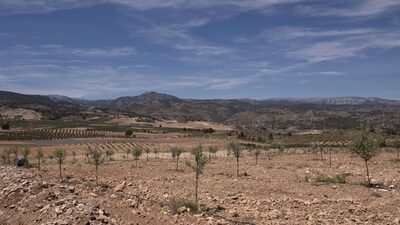 Escassez de alimentos é cenário distante? Na Europa, simulações preparam para o pior Escassez de alimentos é cenário distante? Na Europa, simulações preparam para o pior
