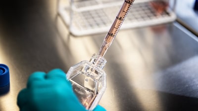 Novo y Eli Lilly se enfrentan a su primer rival serio en China contra la obesidad Novo y Eli Lilly se enfrentan a su primer rival serio en China contra la obesidad