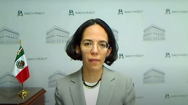 Alejandrina Salcedo, de estudiosa del salario mínimo a economista en jefe de Banxico Alejandrina Salcedo, de estudiosa del salario mínimo a economista en jefe de Banxico