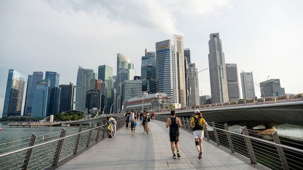 Esta startup usa células humanas para operar data centers e mira desafiar a Nvidia Esta startup usa células humanas para operar data centers e mira desafiar a Nvidia