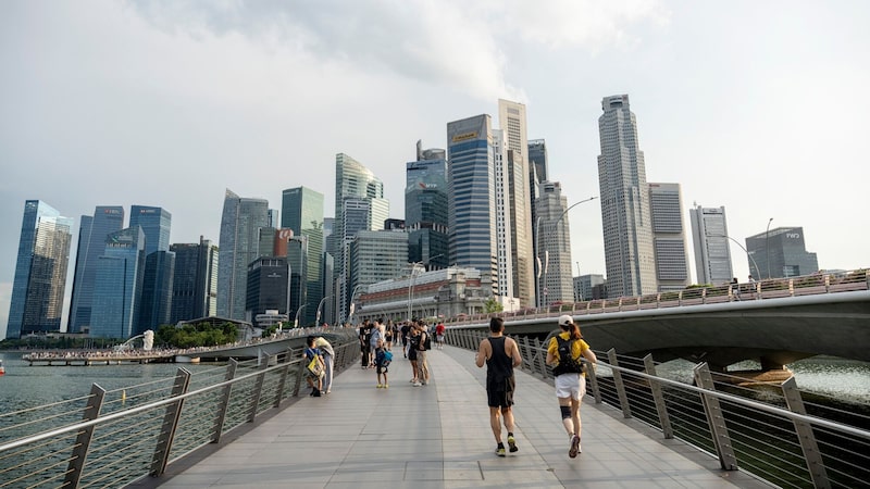 Esta startup usa células humanas para operar data centers e mira desafiar a Nvidia Esta startup usa células humanas para operar data centers e mira desafiar a Nvidia