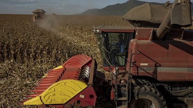 Goldman mide el impacto del Súper El Niño en América Latina: estos serían los países más afectados Goldman mide el impacto del Súper El Niño en América Latina: estos serían los países más afectados