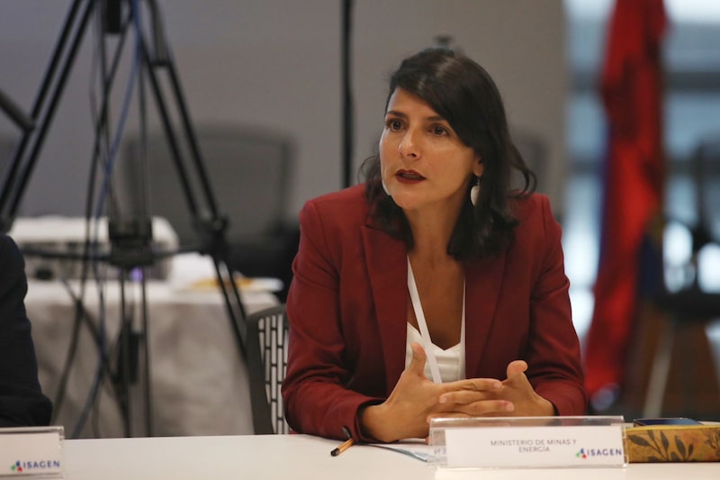 Irene Vélez será la nueva directora de la ANLA: Presidencia publicó su hoja de vida. Irene Vélez será la nueva directora de la ANLA: Presidencia publicó su hoja de vida.