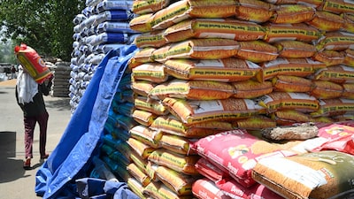 Los precios mundiales de los alimentos suben a máximo desde 2022 por clima y tensiones geopolíticas Los precios mundiales de los alimentos suben a máximo desde 2022 por clima y tensiones geopolíticas