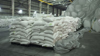 EE.UU. aumentará sus importaciones de azúcar de México: llegarán a 1,15 millones de toneladas EE.UU. aumentará sus importaciones de azúcar de México: llegarán a 1,15 millones de toneladas