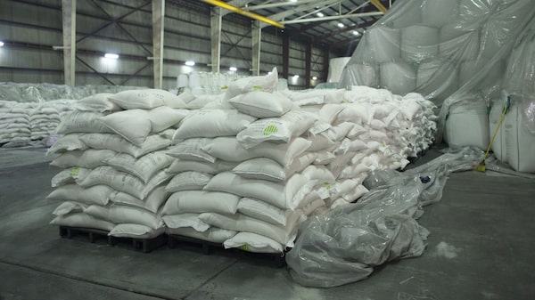 EE.UU. aumentará sus importaciones de azúcar de México: llegarán a 1,15 millones de toneladas EE.UU. aumentará sus importaciones de azúcar de México: llegarán a 1,15 millones de toneladas