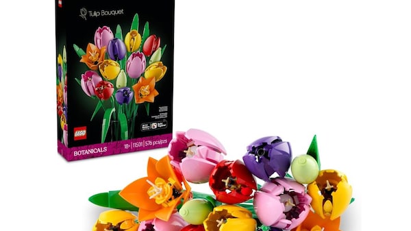 ¿Sin regalo para San Valentín 2026? Obsequios de último minuto para el 14 de febrero ¿Sin regalo para San Valentín 2026? Obsequios de último minuto para el 14 de febrero