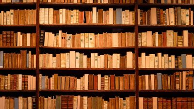 Proibições de livros nos EUA atingiram mais de 1.100 títulos desde julho Proibições de livros nos EUA atingiram mais de 1.100 títulos desde julho