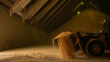 La soja amplía su rally tras anuncio de EE.UU. sobre suspensión de aranceles chinos La soja amplía su rally tras anuncio de EE.UU. sobre suspensión de aranceles chinos