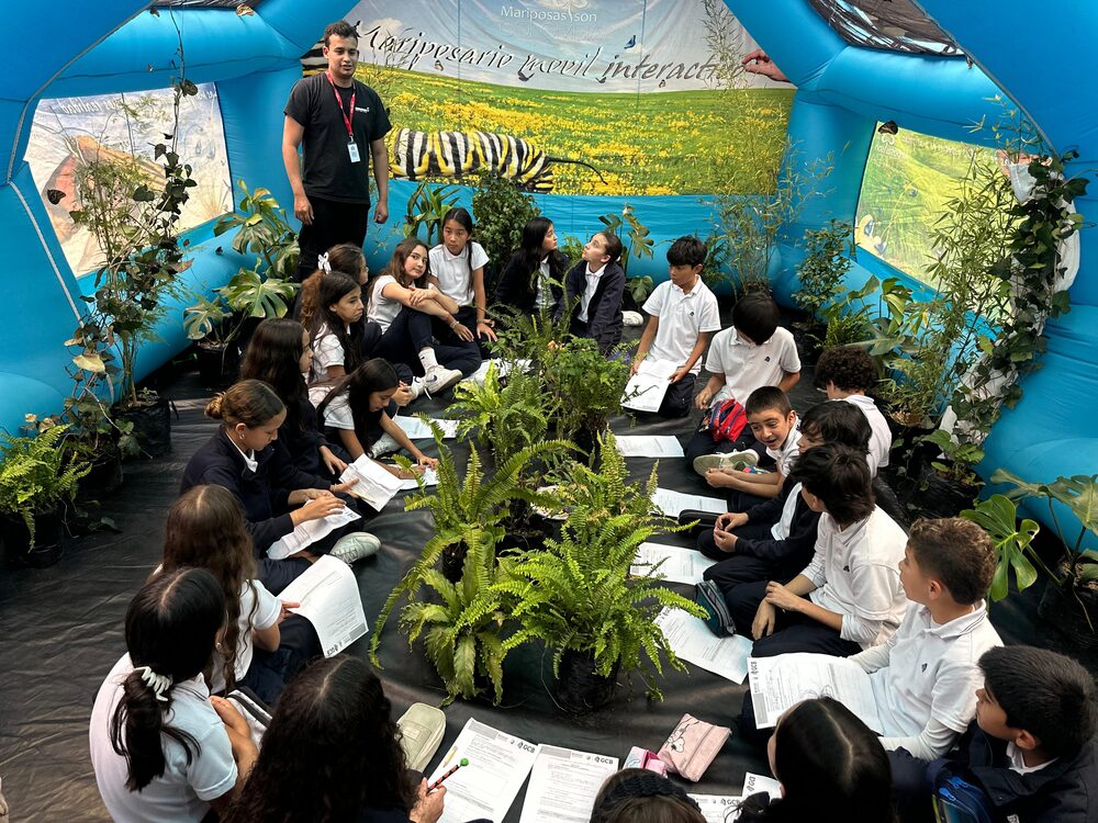 La venta de mariposas vivas: un negocio de Colombia que también cobra fuerza afuera. La venta de mariposas vivas: un negocio de Colombia que también cobra fuerza afuera.