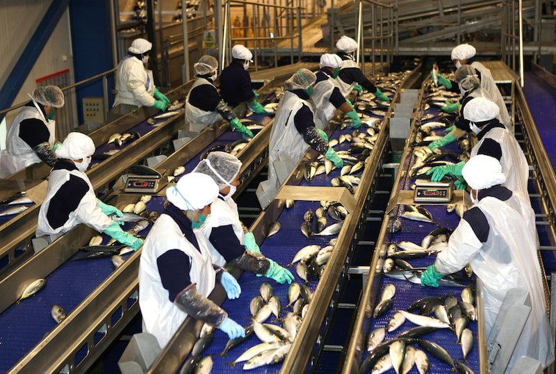 Empleo en Ecuador Empleo en Ecuador