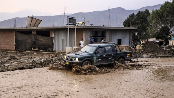 El Niño costero podría causar pérdidas diarias de US$86 millones en siete regiones de Perú El Niño costero podría causar pérdidas diarias de US$86 millones en siete regiones de Perú