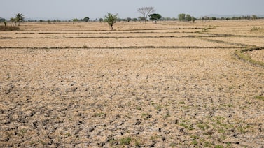 ‘Sem lugar para se esconder’: gestores globais correm para blindar carteiras contra El Niño ‘Sem lugar para se esconder’: gestores globais correm para blindar carteiras contra El Niño