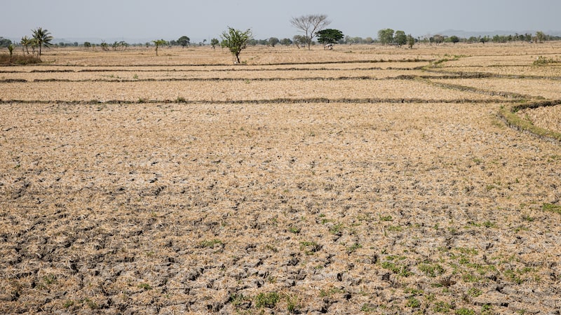 ‘Sem lugar para se esconder’: gestores globais correm para blindar carteiras contra El Niño ‘Sem lugar para se esconder’: gestores globais correm para blindar carteiras contra El Niño