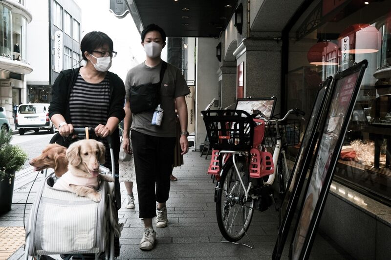 Las mascotas dejaron de ser sólo una compañía más para convertirse en un miembro más de los hogares. Las mascotas dejaron de ser sólo una compañía más para convertirse en un miembro más de los hogares.