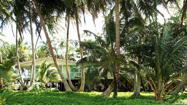 Iguana Island, el paraíso nicaragüense a la venta por US$ 475.000 Iguana Island, el paraíso nicaragüense a la venta por US$ 475.000