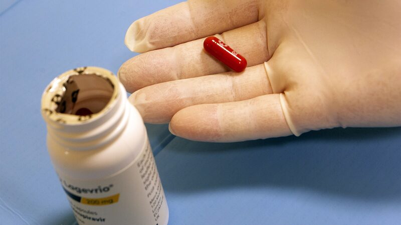 Pílula anti-covid ganha sobrevida na China como remédio para coronavírus em gatos Pílula anti-covid ganha sobrevida na China como remédio para coronavírus em gatos