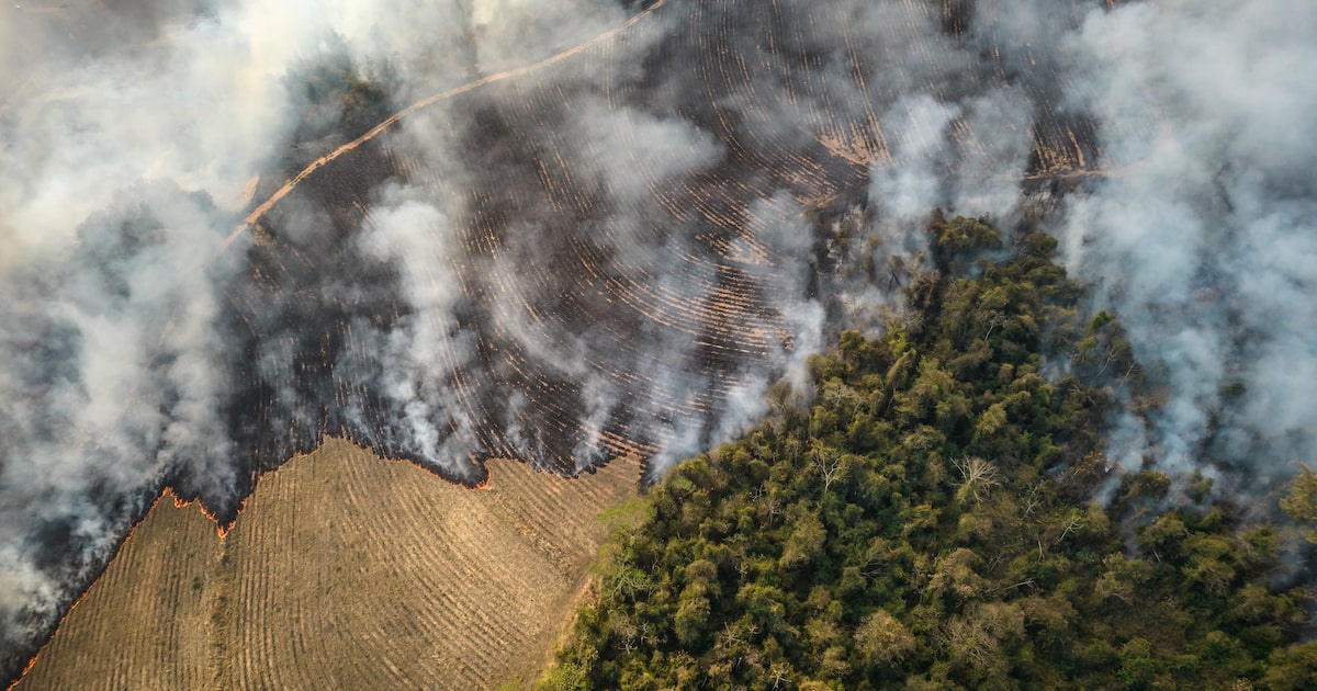 El Niño y el riesgo en mercados latinoamericanos