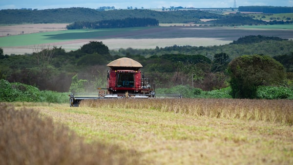 Safra do Brasil pode bater recorde, pressiona mercado de diesel e eleva custos no campo Safra do Brasil pode bater recorde, pressiona mercado de diesel e eleva custos no campo