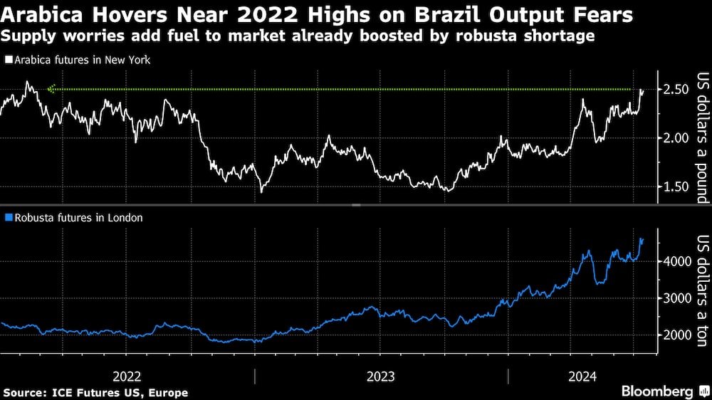 El café Arabica ronda máximos del 2022 ante el temor por la producción brasileña. El café Arabica ronda máximos del 2022 ante el temor por la producción brasileña.