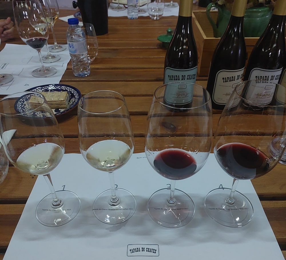 O passado na taça: como as vinhas velhas se tornaram o novo luxo do Alentejo O passado na taça: como as vinhas velhas se tornaram o novo luxo do Alentejo