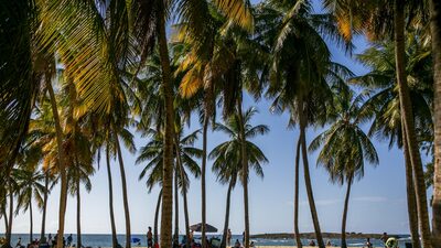 Resorts no Caribe: redes planejam a inauguração de novos hotéis na região em 2024 Resorts no Caribe: redes planejam a inauguração de novos hotéis na região em 2024