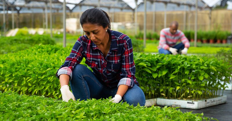 Maria Pia Morante, directora de inversiones de Alive Ventures, adelanta que el fondo cerraría por lo menos tres inversiones del primer fondo de US$20 millones en startups de alto impacto este 2023. Maria Pia Morante, directora de inversiones de Alive Ventures, adelanta que el fondo cerraría por lo menos tres inversiones del primer fondo de US$20 millones en startups de alto impacto este 2023.