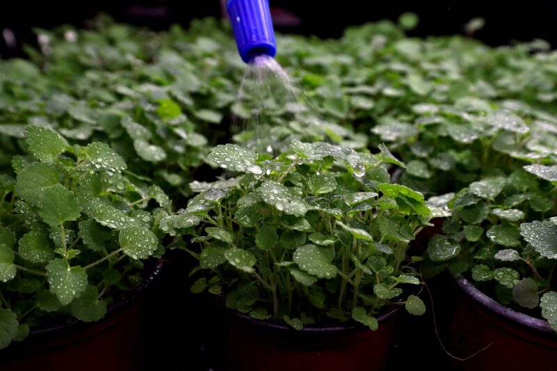 Investidores anteriores incluem a Bezos Expeditions, de Jeff Bezos, o cofundador do Twitter, Biz Stone, e The Craftory, braço de investimento da 3G Investidores anteriores incluem a Bezos Expeditions, de Jeff Bezos, o cofundador do Twitter, Biz Stone, e The Craftory, braço de investimento da 3G