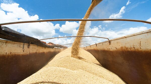 Brasil presiona a China para estrechar lazos agrícolas antes de la visita de Lula Brasil presiona a China para estrechar lazos agrícolas antes de la visita de Lula