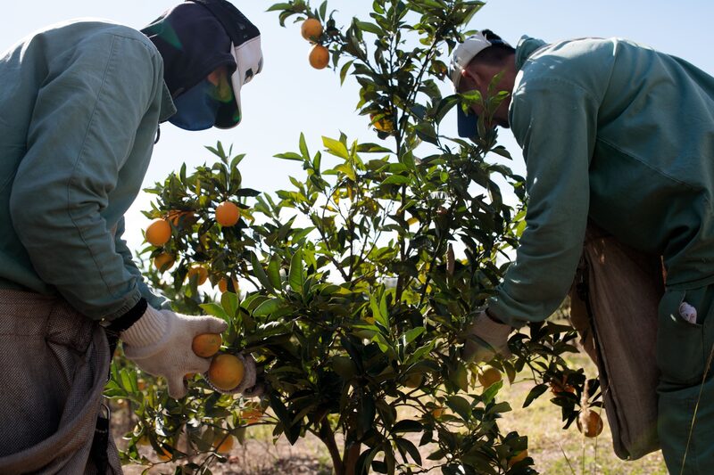 Bloomberg Línea Bloomberg Línea