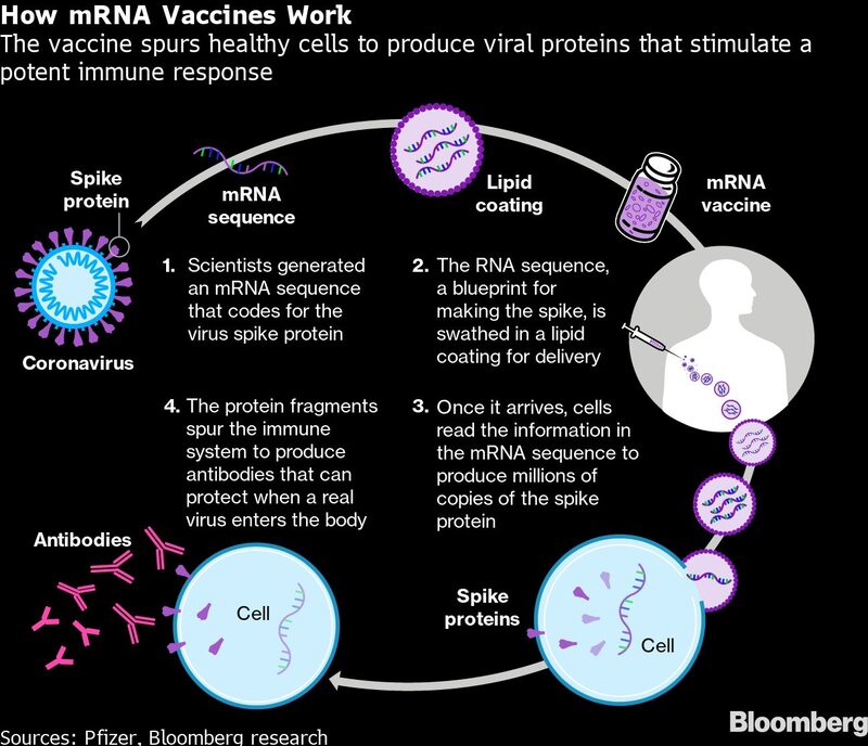 How mRNA Vaccines Work How mRNA Vaccines Work