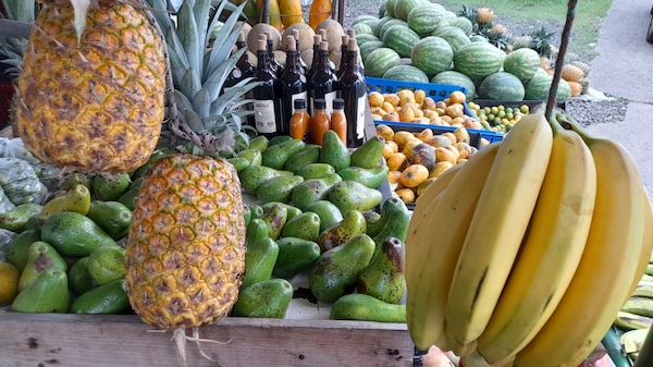 Canasta básica de alimentos sube a $275 en Panamá Canasta básica de alimentos sube a $275 en Panamá