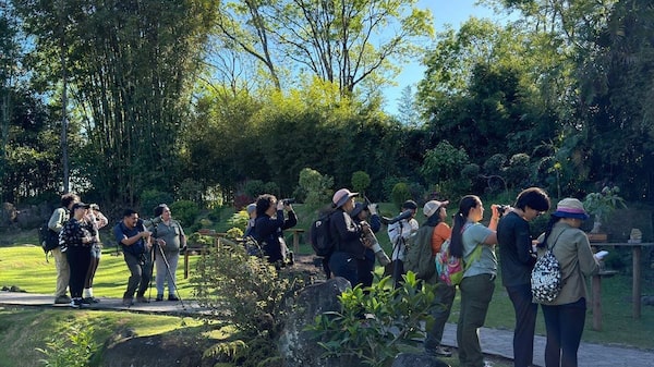 Centroamérica encuentra en el aviturismo una vía para proteger bosques y atraer visitantes Centroamérica encuentra en el aviturismo una vía para proteger bosques y atraer visitantes